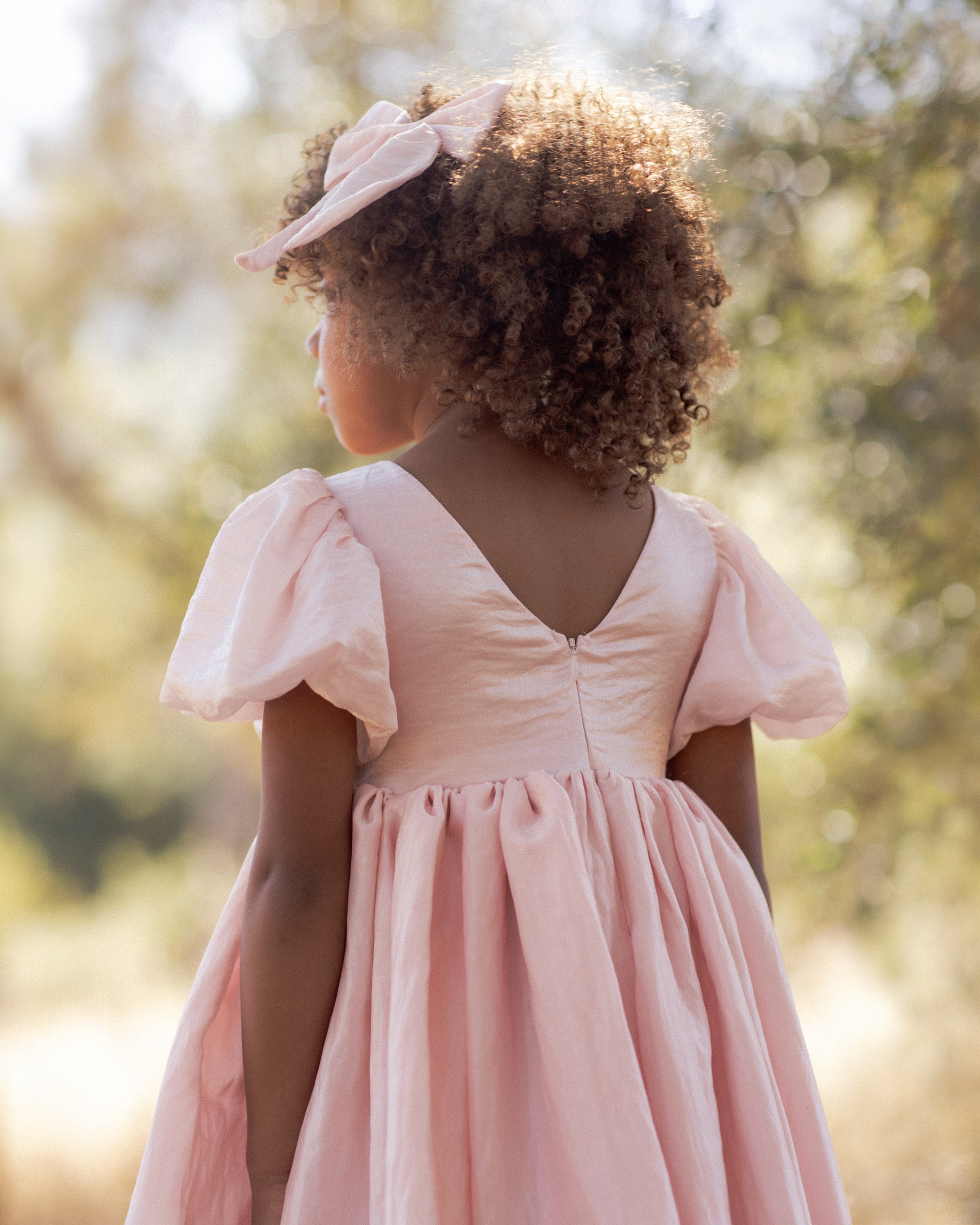 Noralee Girls Sofia Shimmer Dress