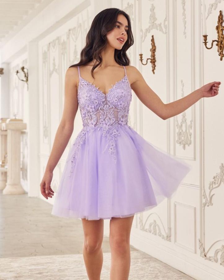 Prom Graduation Dress Amazon Party Dress Purple Grade Grad Dresses Amazon Ladivine A-Line Silhouette Dress NorthGirls Prom Graduation Dress Amazon Party Dress Purple Grade Grad Dresses Amazon Ladivine A-Line Silhouette Dress NorthGirls
