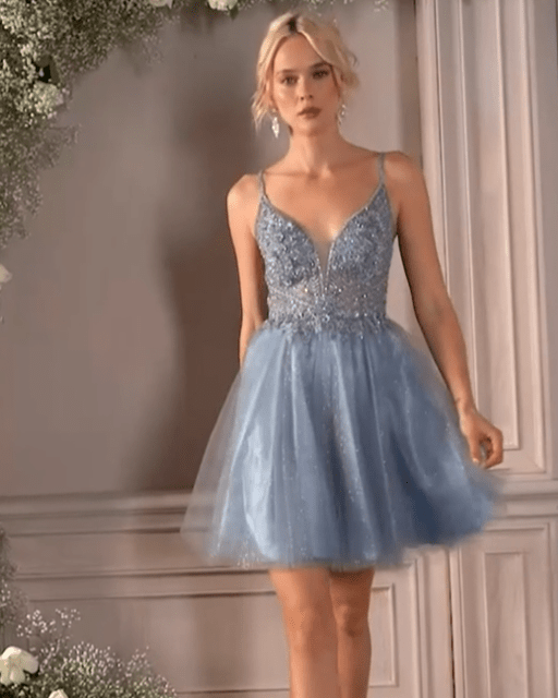 Ladivine Short A-Line Cocktail Dress _CD0190 – NorthGirls