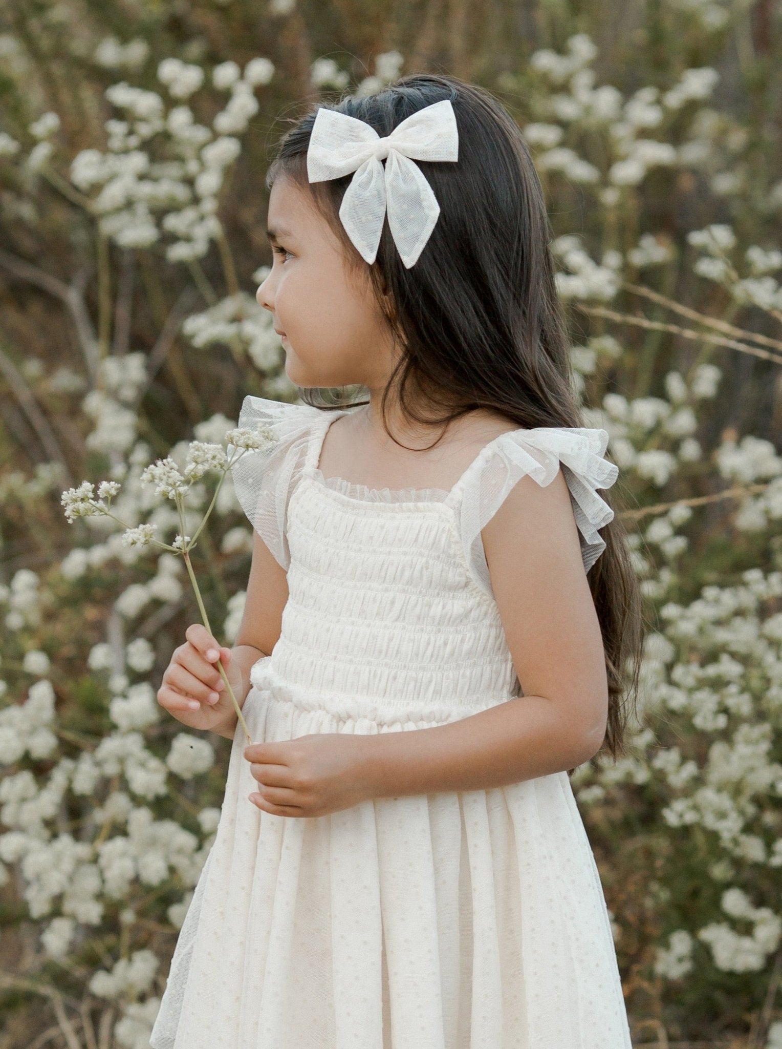 Noralee Girls Valentina Dress _NL091 - 1087 - NorthGirls