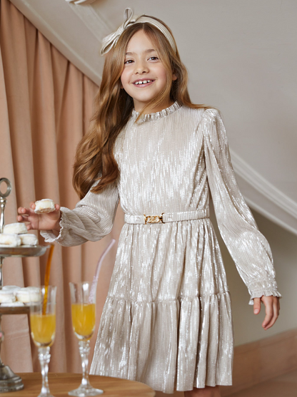 Girls Long Sleeve Tiered Dress