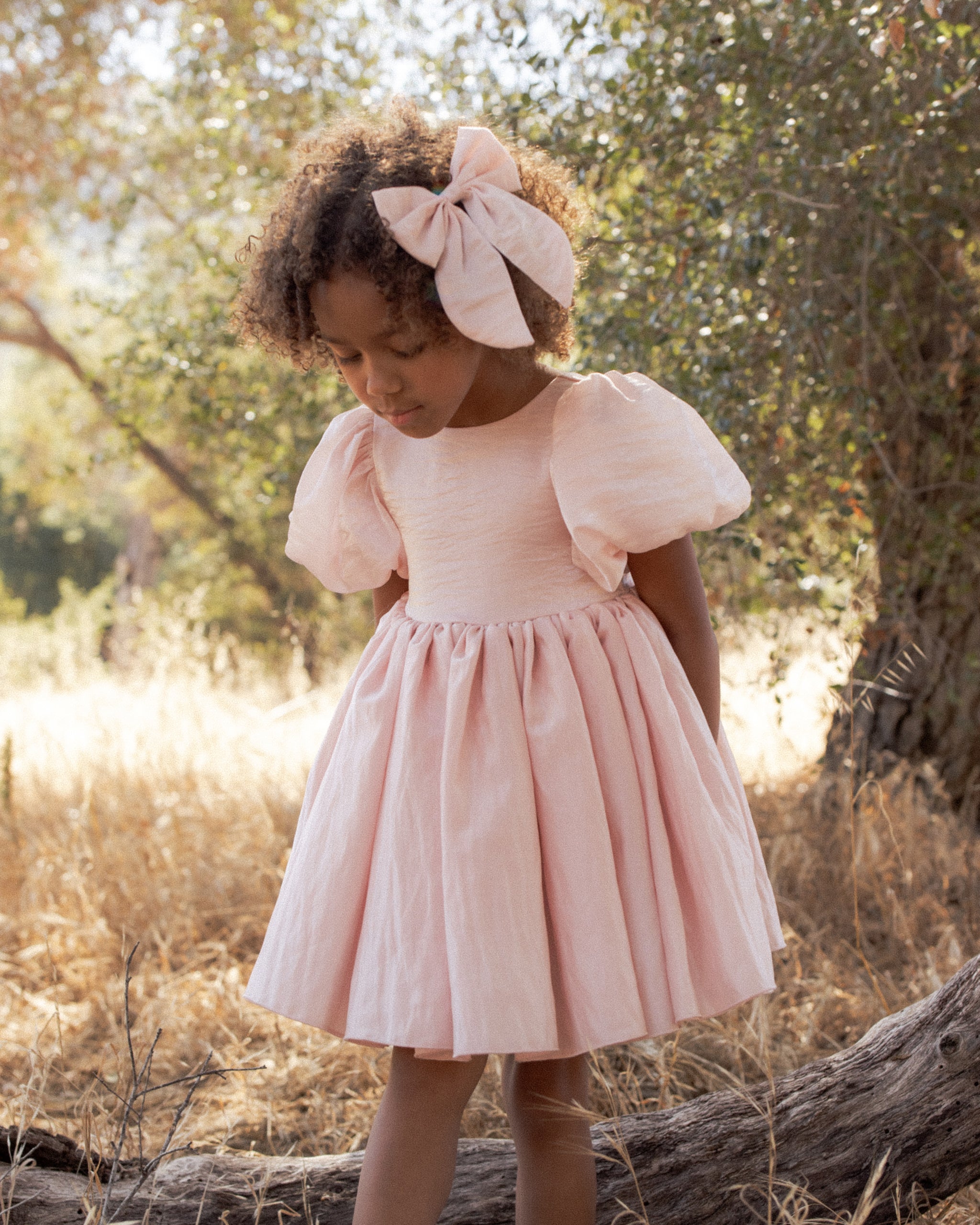 Noralee Girls Sofia Shimmer Dress