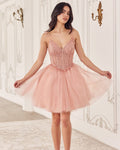 Ladivine A - Line Corset Tulle Cocktail Dress_ CD0236 - NorthGirls