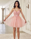 Ladivine A - Line Lace & Tulle Cocktail Dress _SF047 - NorthGirls